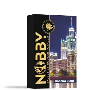 moscow-night